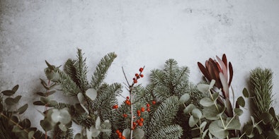 Unsere Lieblings-Weihnachtsmärkte in der Schweiz